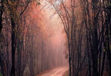 开云体育中国-阿尔艾因防守体系升级，迎接关键战