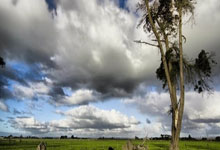 开云官网-绿茵场上的桑巴风暴：当黄金战靴踏碎异国魔咒