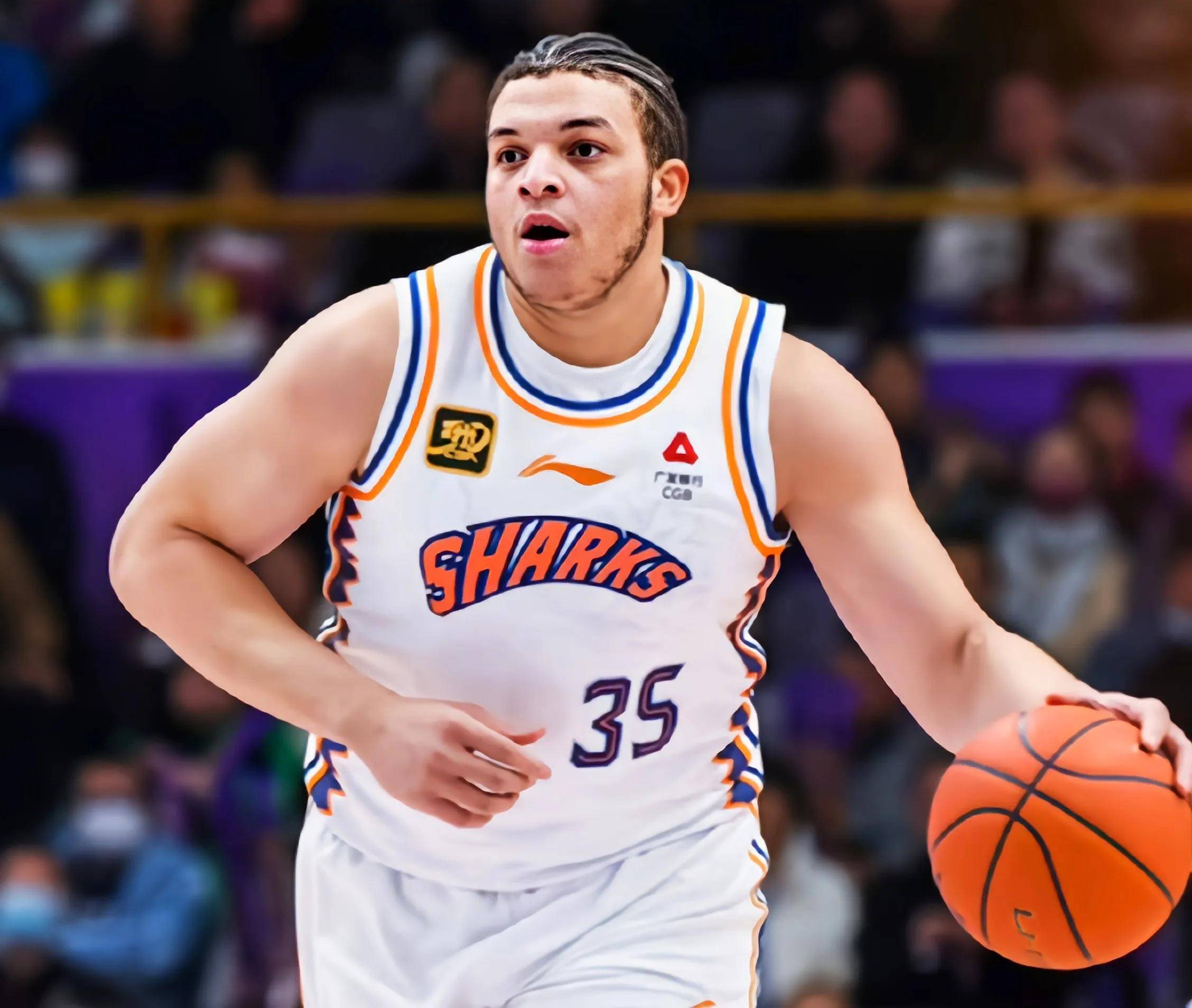 开云平台-双外援助力球队逆转，球迷欢呼雀跃的简单介绍