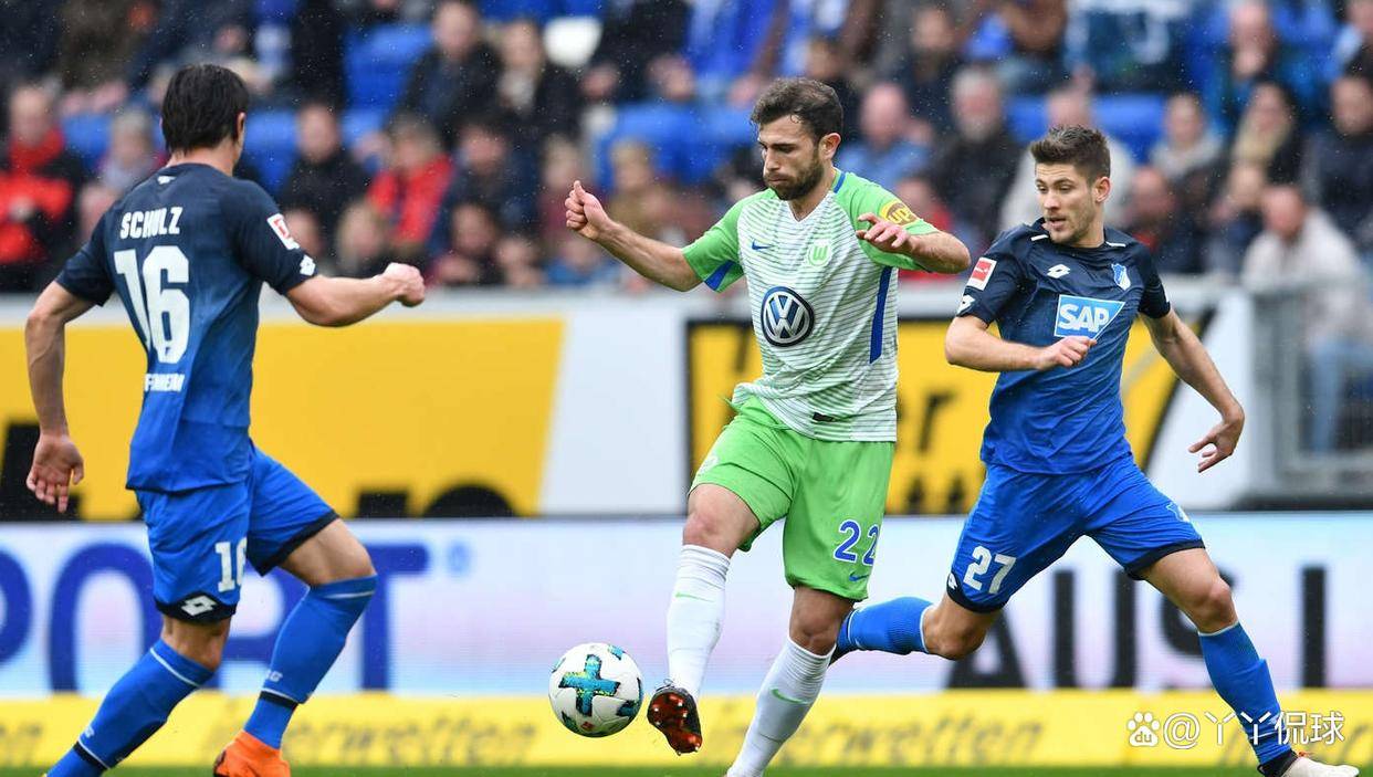 开云体育-沃尔夫斯堡队实力不俗，成为德甲黑马的简单介绍