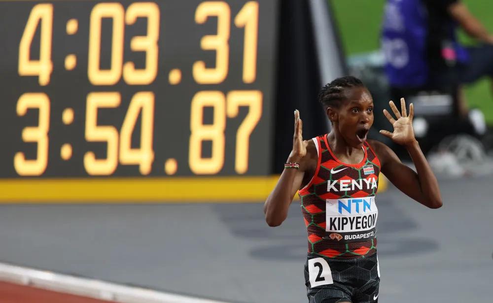 开云APP-哥伦比亚游泳选手冲过终点线的简单介绍