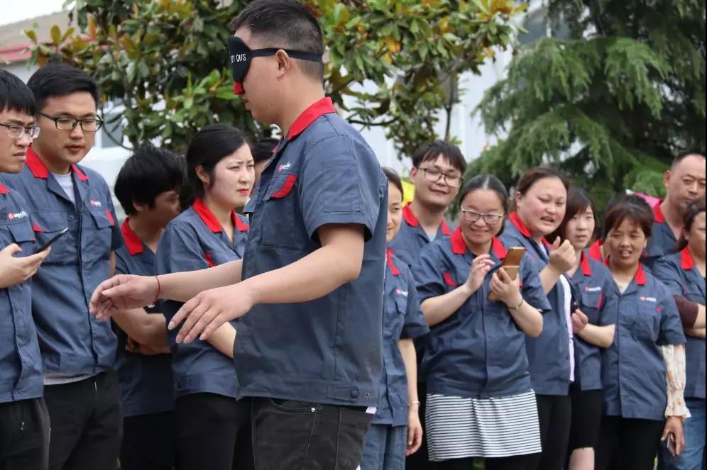 开云平台-德国队员团结协作展现出色精神