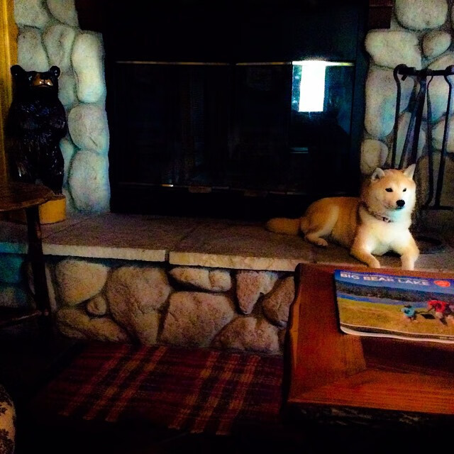 暴走之夜!福克斯狂轰42分献压制级发挥,76人单节打出30-9攻击波彻底打崩广厦