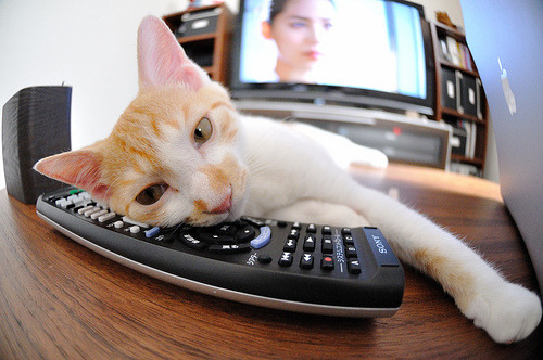 开云体育官方网站-世界的赛场，同一种心跳，广东队压哨击败湖人，莫兰特在欧冠半决赛接管比赛