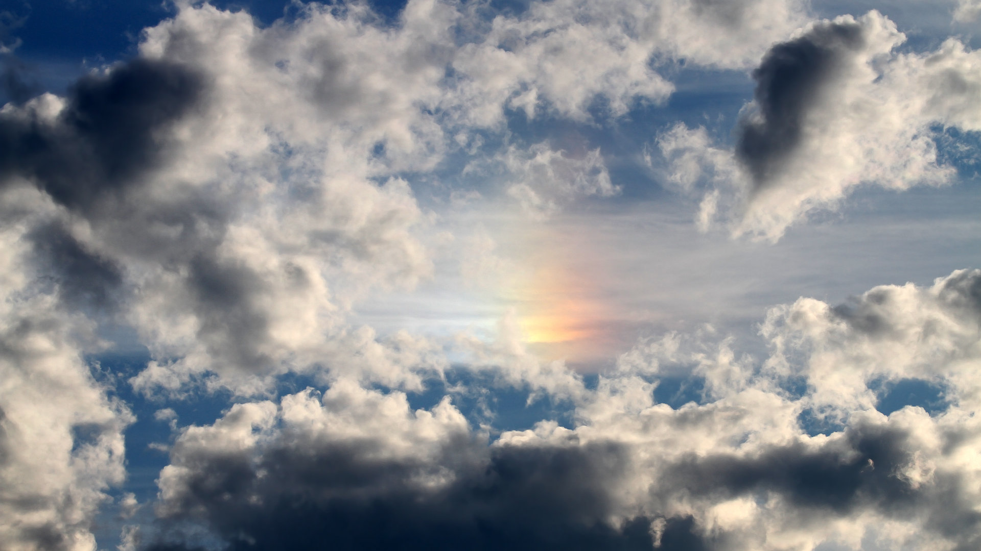 开云体育在线-当范弗利特式的执着，遇上浙江式的精神胜利