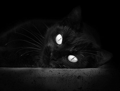 开云体育登录-红魔风暴席卷格拉斯哥！萨内关键先生定乾坤，曼联单节决胜苏格兰