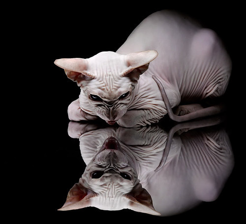 冷门之夜！深圳队爆冷击败火箭，贝恩末节爆发成关键先生