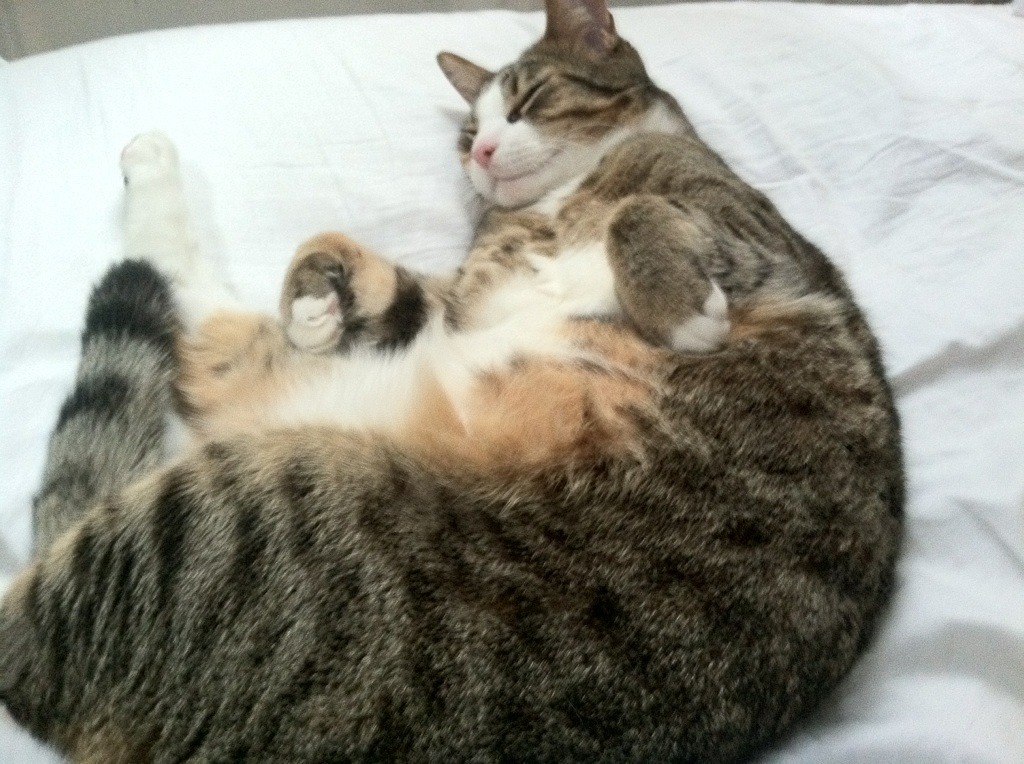 爱德华兹爆发助山西队魔术般掌控节奏,主场力克强敌