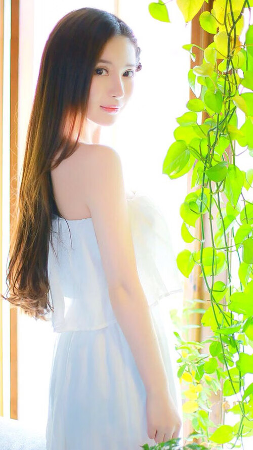 三分雨淹没东北虎!浙江库里爆发诠释现代篮球终极答案