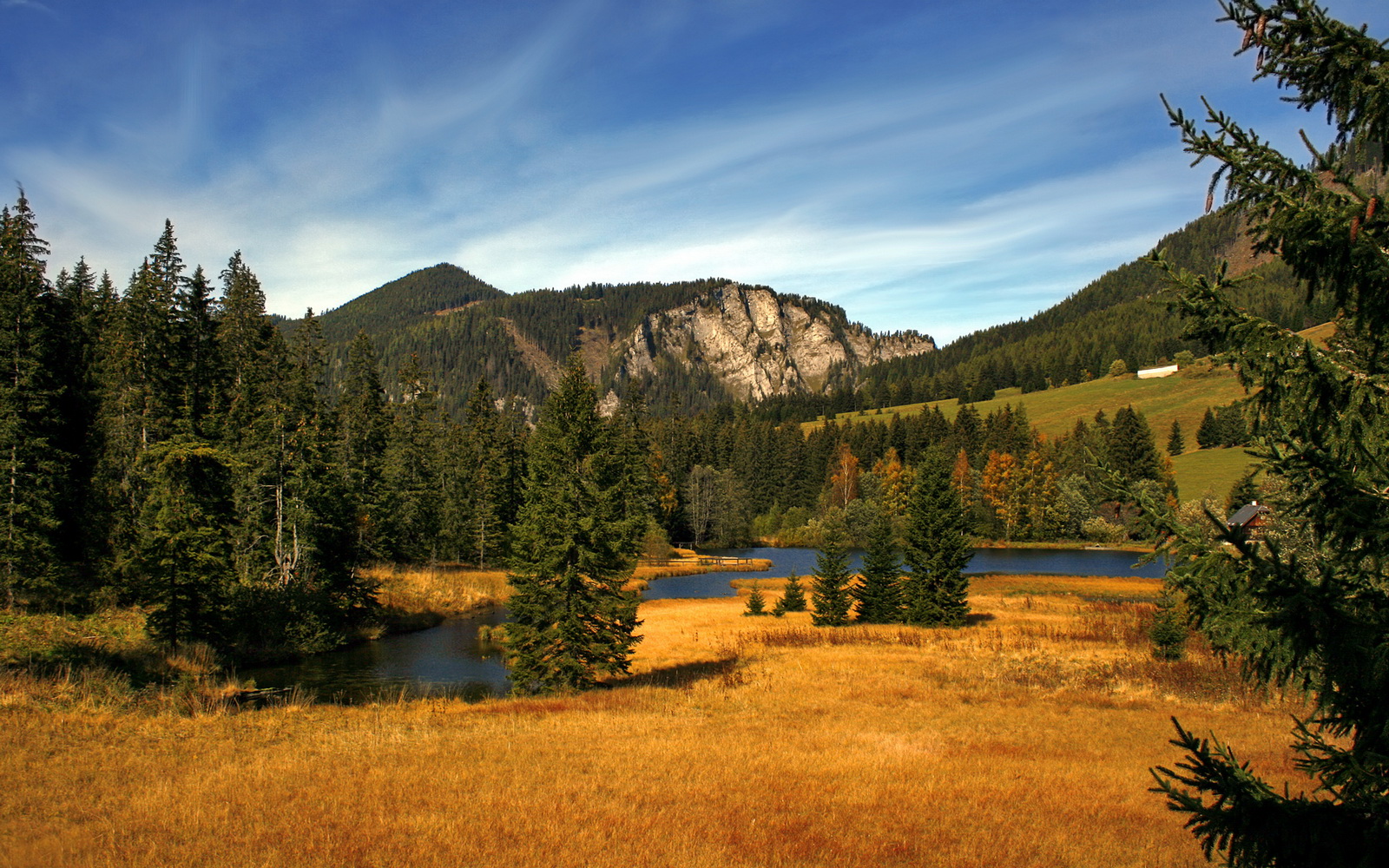 久保建英闪耀足坛展巨星本色,挪威黑马力克巴萨创历史