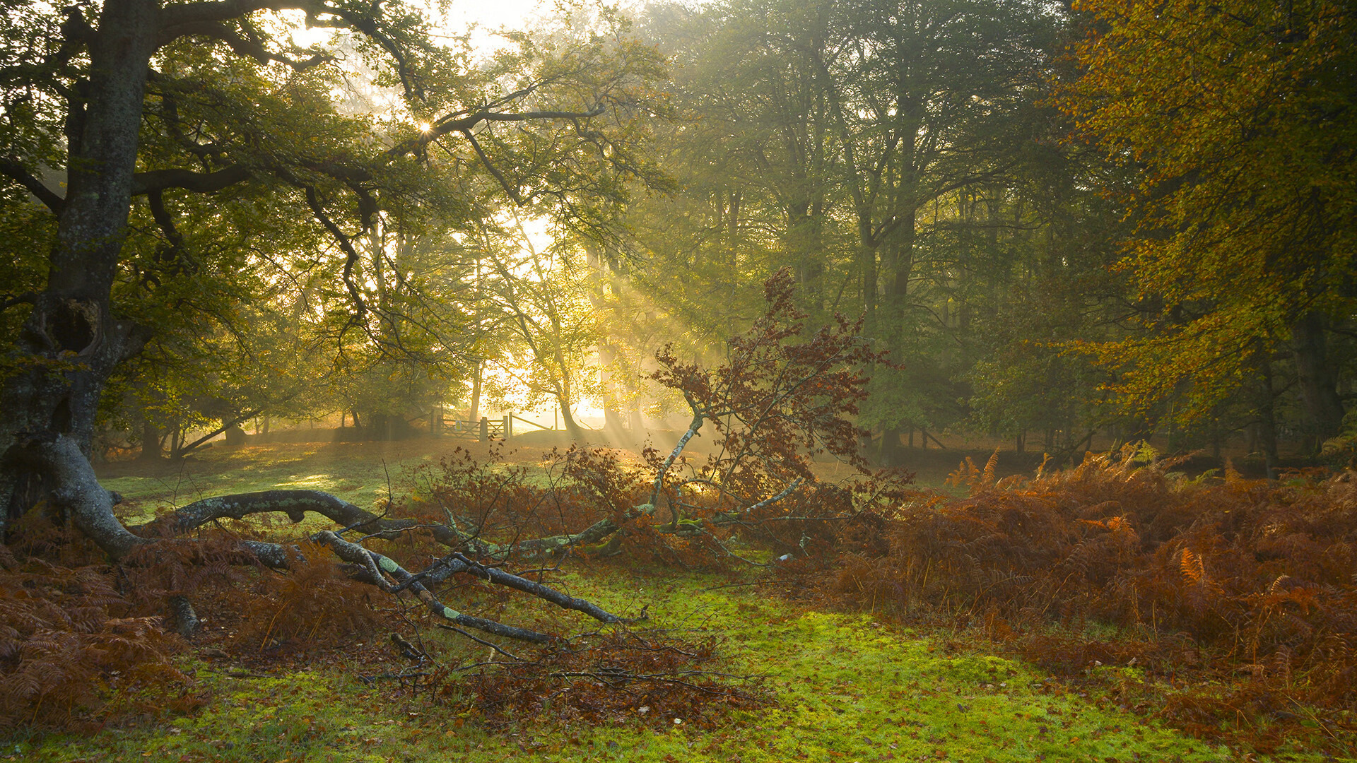 冰川裂隙，当达拉斯铁蹄踏破北境长城—恩比德无解定理下的征服叙事