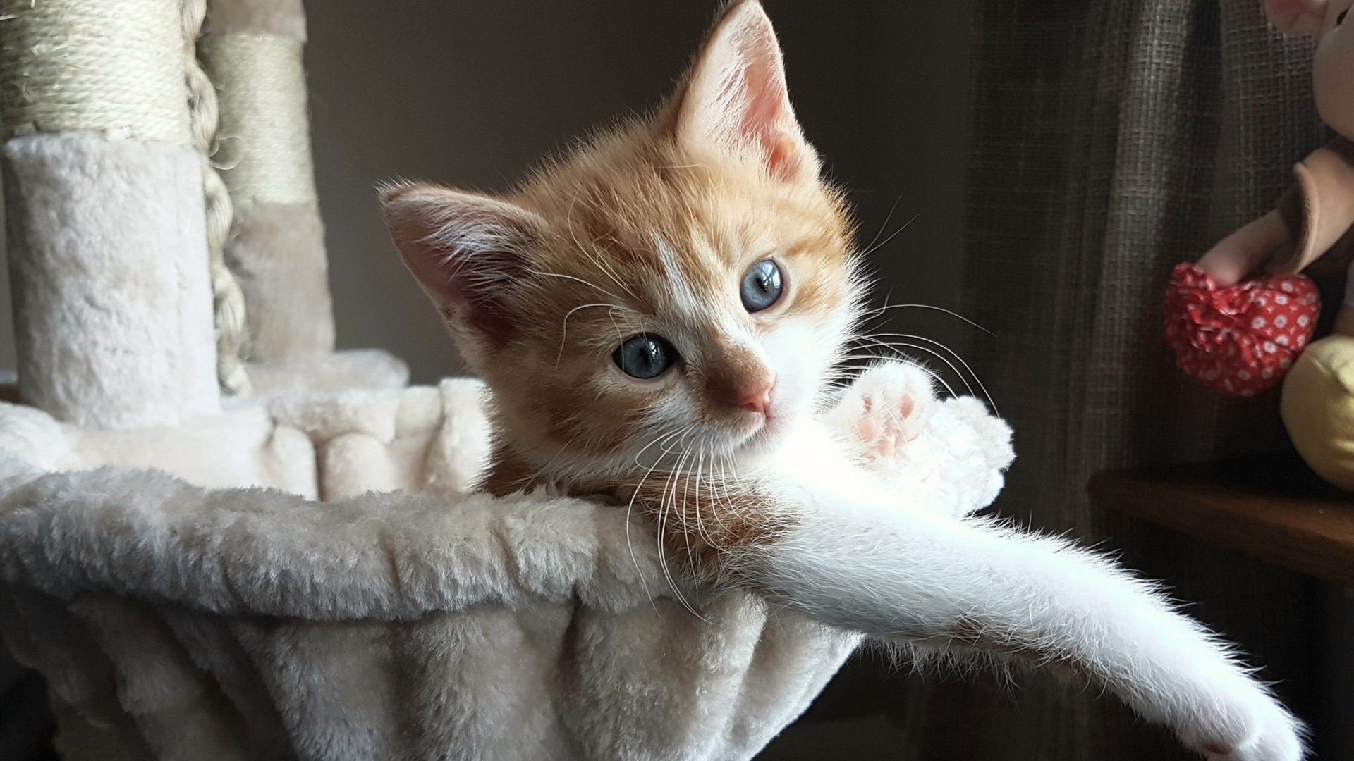 硬仗之王拉文封神,雄鹿争冠路力克活塞